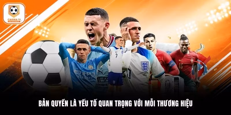 Bản quyền là yếu tố quan trọng với mỗi thương hiệu