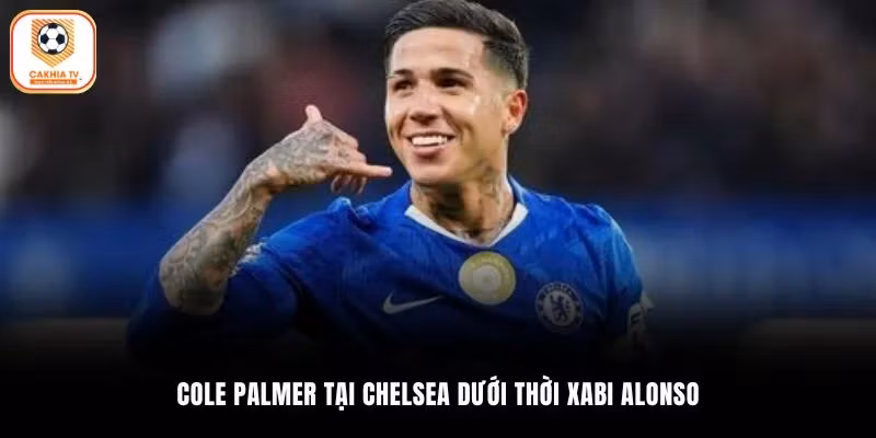 Cole Palmer tại Chelsea dưới thời Xabi Alonso