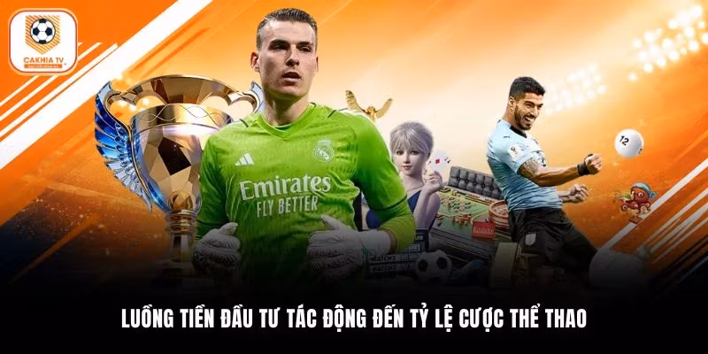 Luồng tiền đầu tư tác động đến tỷ lệ cược thể thao