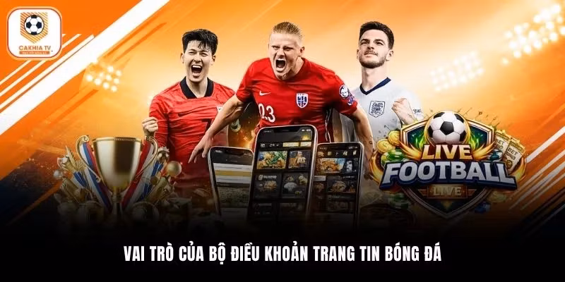 Vai trò của bộ điều khoản trang tin bóng đá
